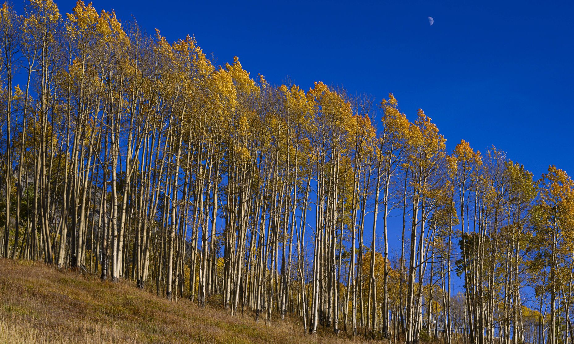 10_06_19 crested butte0329.JPG